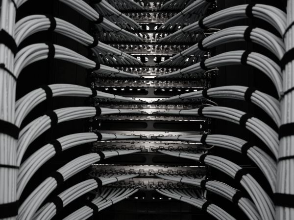 Technology, Media, & Telecomunication